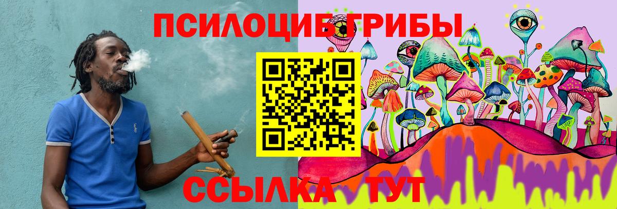 Галлюциногенные грибы Psilocybe Дивногорск