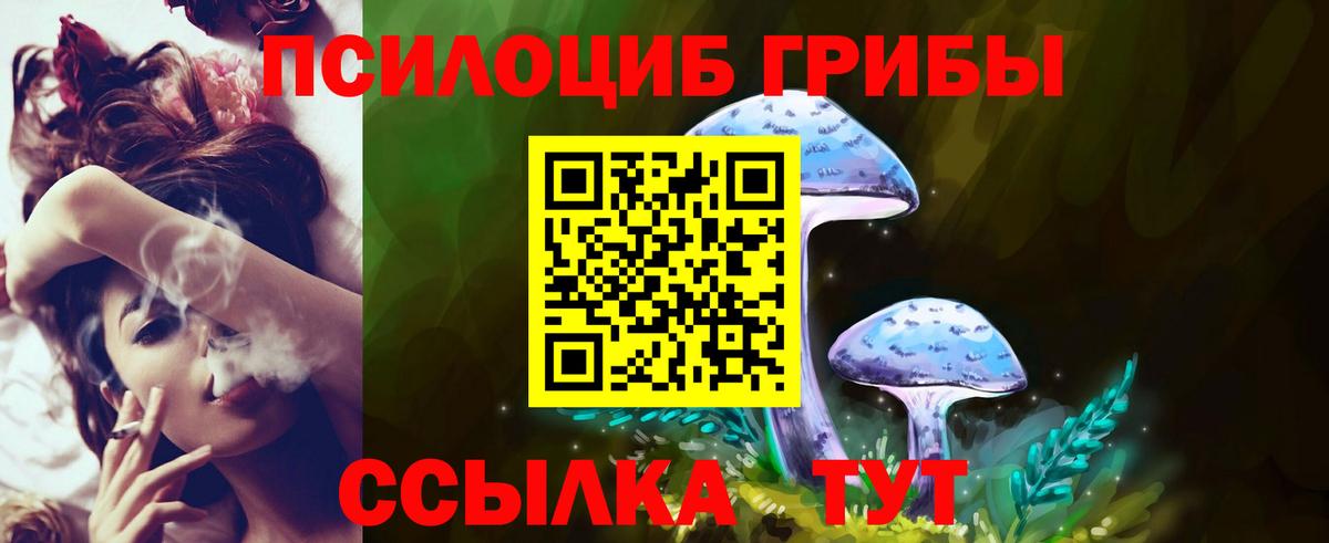 Псилоцибиновые грибы MAGIC MUSHROOMS  Вход с VPN  Галлюциногенные грибы прущие грибы  Дивногорск 
