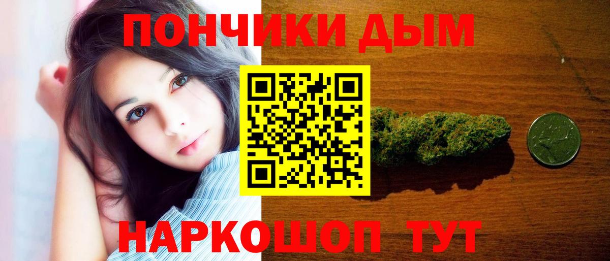 Бошки Шишки ГИДРОПОН Дивногорск